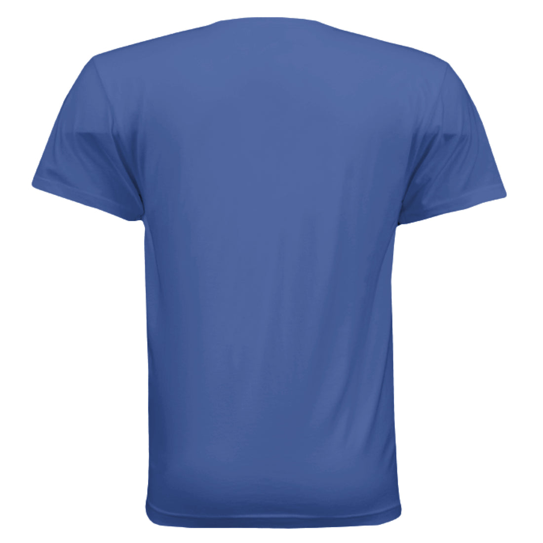 The Big Dill Funny Pickle T-Shirt in Metro Blue, back view