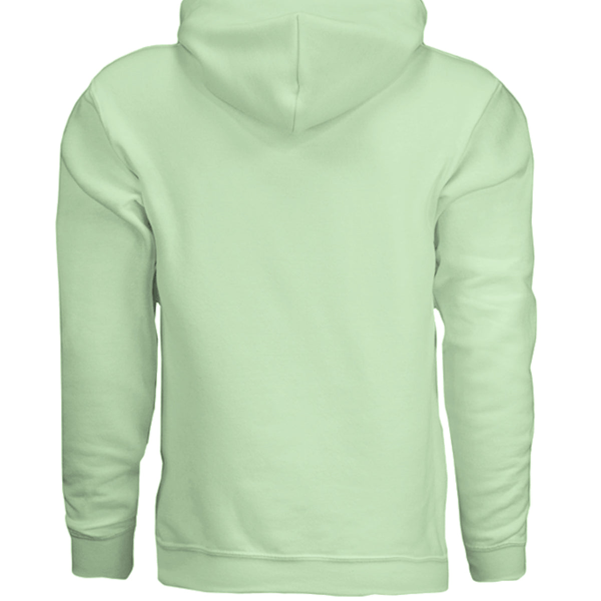 Always Fresh Pickles Fleece Hoodie in Mint Green, back view