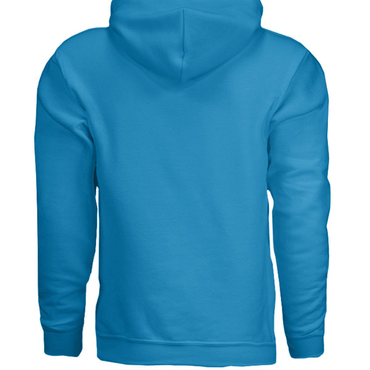 Always Fresh Pickles Fleece Hoodie in SAPPHIRE, back view