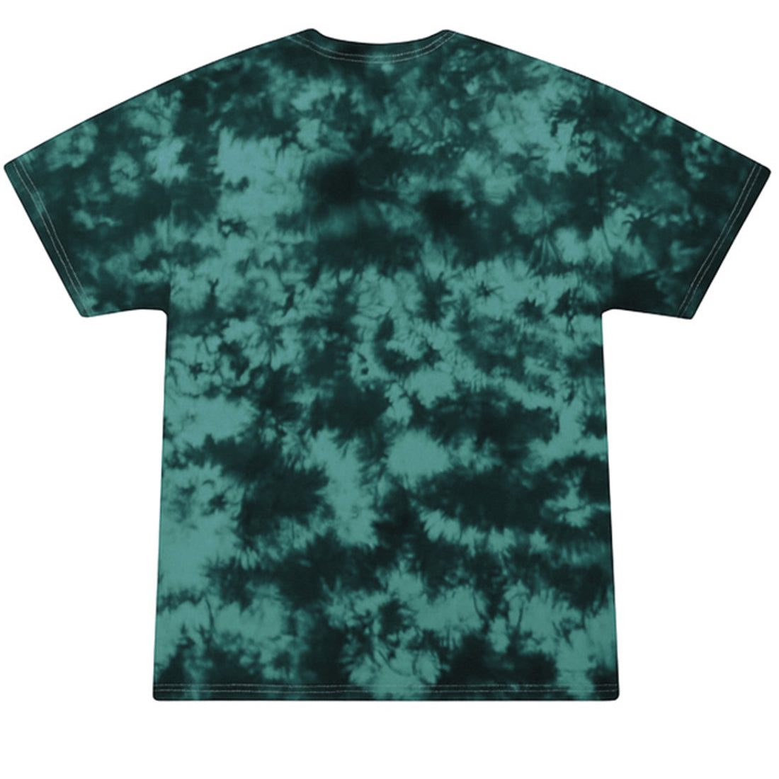 Pickle Dye It Crystal-Wash Cotton T-Shirt in Crystal Jade, back view